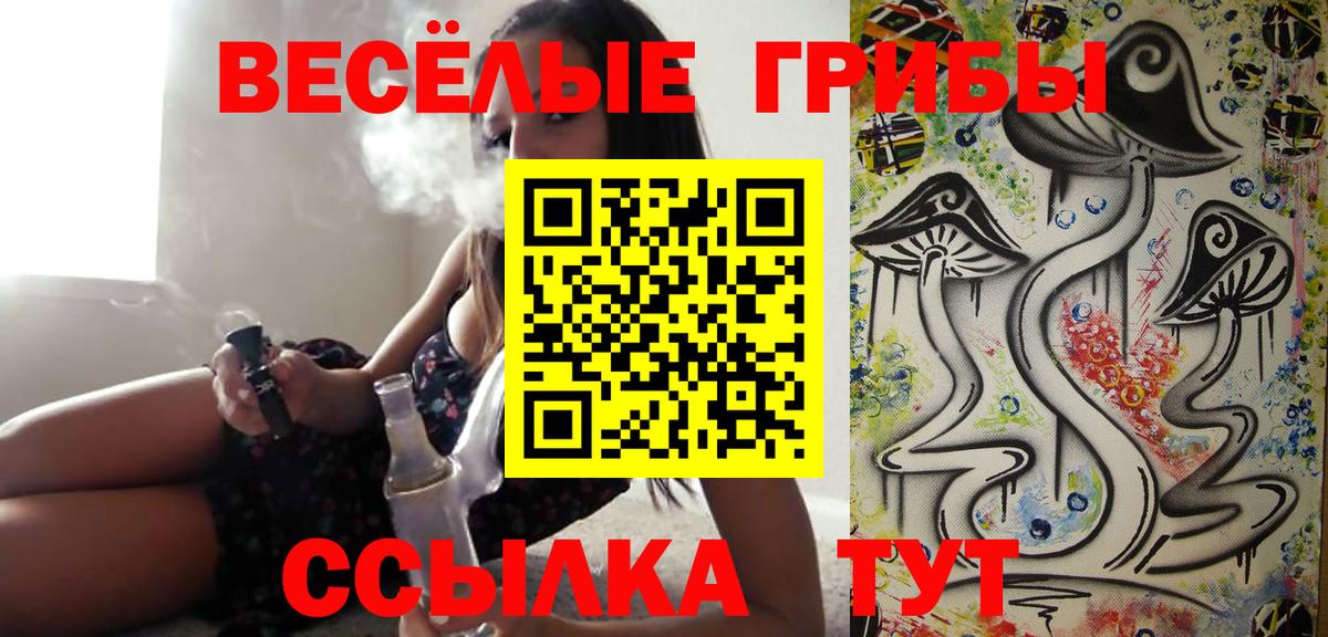 Псилоцибиновые грибы Psilocybe Красноармейск