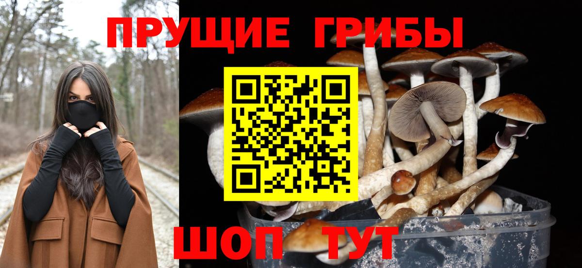 Псилоцибиновые грибы Psilocybine cubensis  Вход с VPN  Красноармейск 